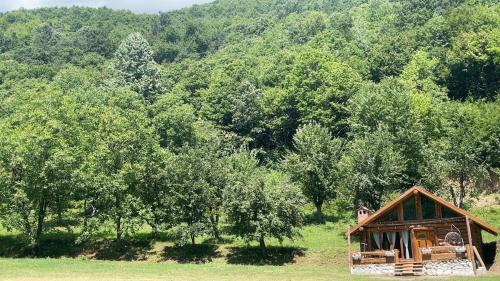 Donji Crnobreg Villa | Villa Gryka Deçan