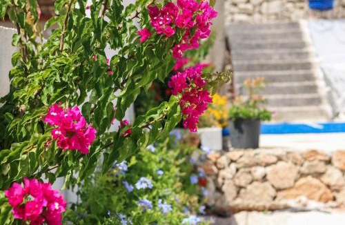 Ksamil Hotel | Vila Bliss