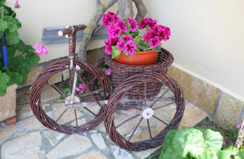 Kounopetra Apartment | Villa Carina
