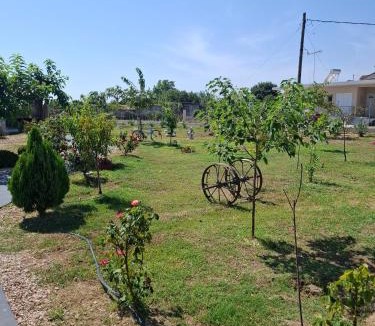 Arta House | Agroktima Arta - Farm Stay