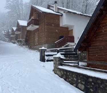 Brezovice Villa | Z-Mountain Villa Brezovica for Families & Groups