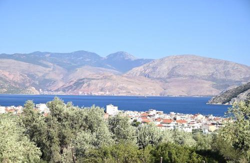 Antikyra Apartment | Sea View Studio