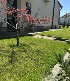 Çagllavicë Villa | Villa Garden
