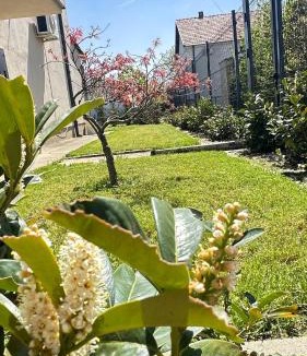 Çagllavicë Villa | Villa Garden
