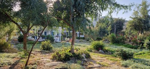 Ios Villa | Beachfront Ios Villa