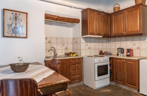 Andros Town Apartment | Olive Guesthouse near farm