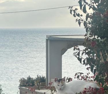 Panormos Apartment | Mary Popi