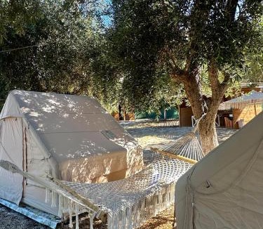Qazim Pali Other | Bocana Camping Borsh