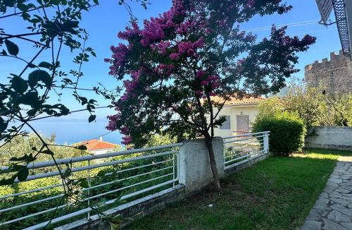 Mikri Mantineia House | Villa pinelopi