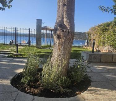 Gialtra Villa | Bluevera seafront villa-Aidipsos bay