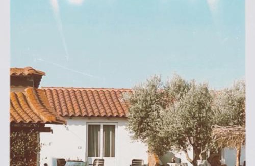 Fier House | Diarla's Home 3