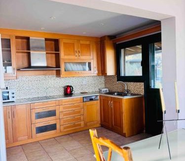 Skiathos Town Apartment | Villa GreenHill&Blue Sea