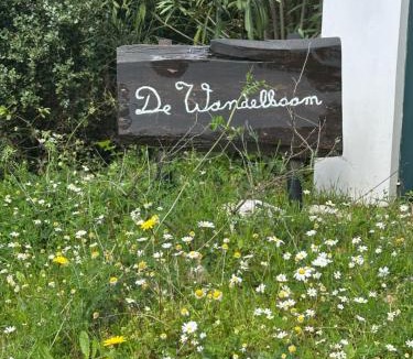 Kiparissia House | Kyparissia De Wandelboom
