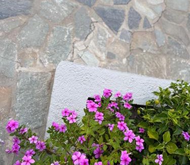 Katsarou Hotel | Azzurro