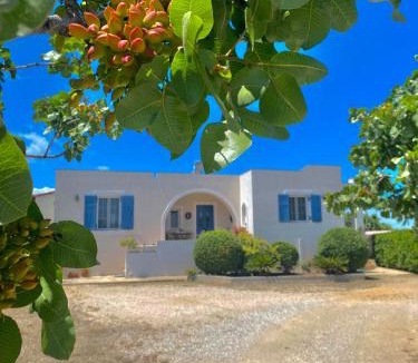 Aegina Town Villa | Tzitzi Pistachio Villa