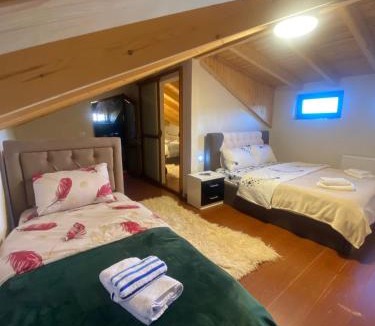 Moscopole Hotel | Vila Loris