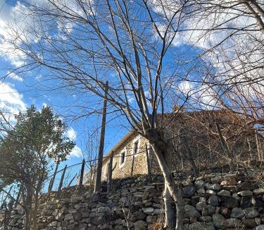 Sakës House | Mark Toma Guesthouse