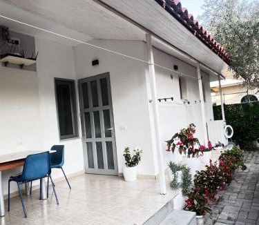Vlore House | Mateo Villa Vlore