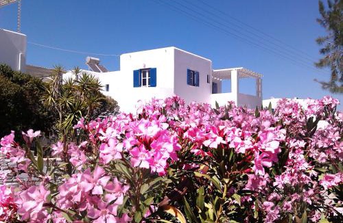 Logaras Apartment | Nicos Studios & Apartments