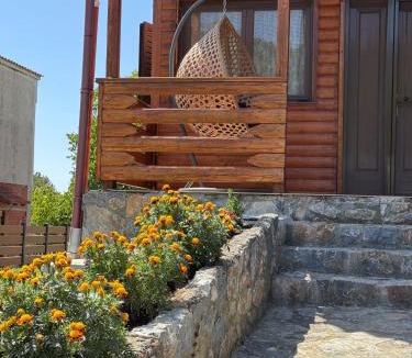 Kato Grammatikon Villa | Green Forest Villa
