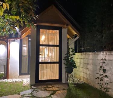 Tushemisht Villa | Vileta Auri