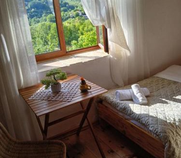 Tirana House | Bujtina Tusha