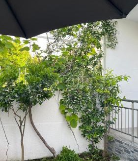 Velipoje Villa | Vila 212 - Velipojë