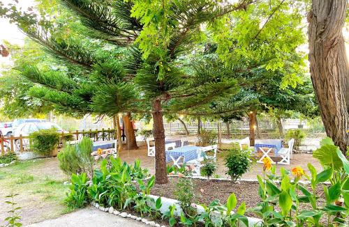 Lukove Hotel | Garden Villa Naza