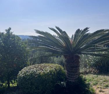 Siviri House | Villa Cultura Elani Halkidiki