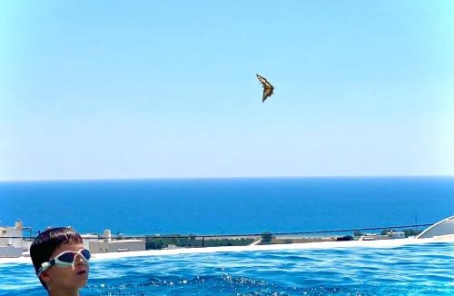 Koutsounari Villa | Zax sea view villas 4-Villa heated Pool Complex