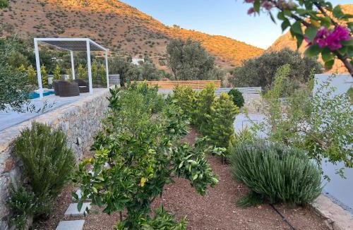 Agia Galini Villa | Evgoro Luxury Suites