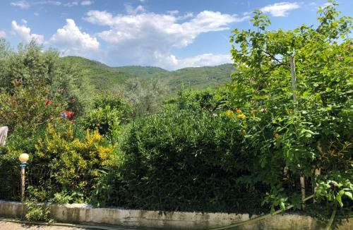 Mbrostar-Urë House | Villa Mukaj