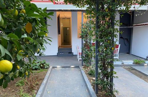 Tirana Villa | Vila 1951