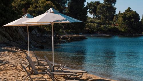 Elia Nikitis Hotel | Casa Bloo Adults Only by Still Collection