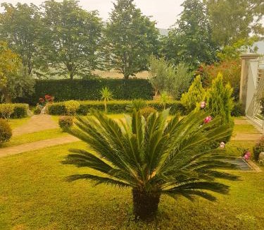 Tragjas House | Vila Elida