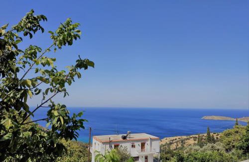 Andros Apartment | Palaiopoli View Studios