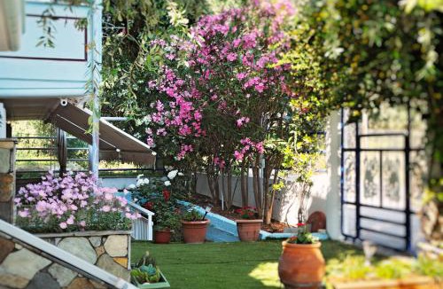 Skala Sotiros Apartment | Panagiotis Hotel