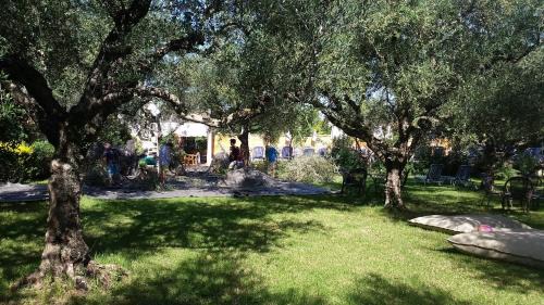Laganas Hotel | Castelli Hotel-Adults Only
