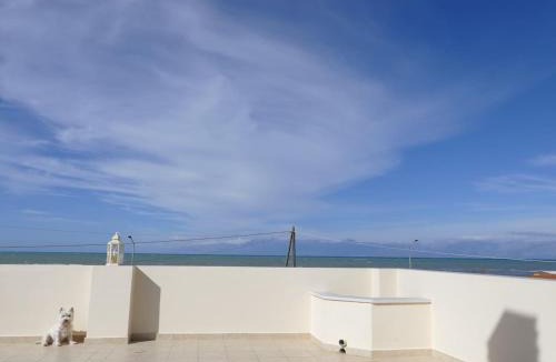 Acharavi Villa | Acharavi, villa next to the beach