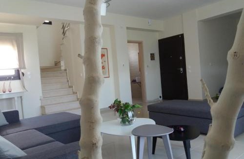 Afytos Villa | ALKYONI HOUSE IN AFYTOS