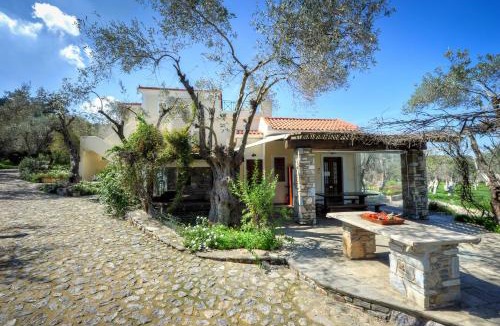 Gera Apartment | Gera's Olive Grove - Elaionas Lesvou