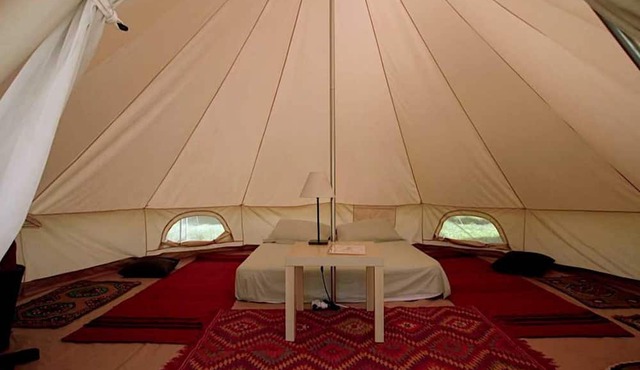Cocoon Tent in an Olive Grove in Trifylia