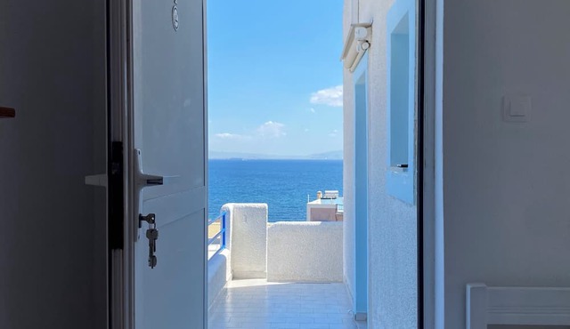 Blue Dolphin Aegina