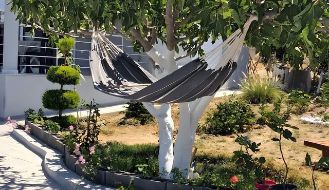 Brand New 2026 Country House with Mountain Views, Wi-Fi & Air Conditioning in Loutraki-Agioi Theodoroi Municipality
