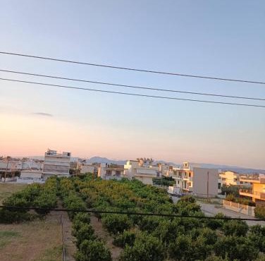 Orange Horizon in Kiaton