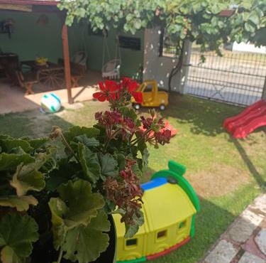 Rooster Retreat in Aridaia