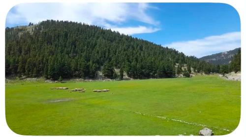 Triantafyllos Property in Skoulikariá