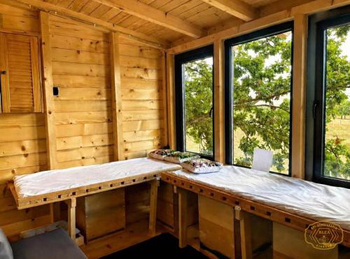 Wellness Villa Api Klea - sleeping with Bees in Gjakove