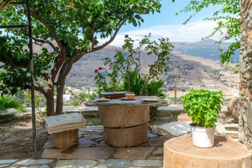 Mrs Kalis cottage in Andros