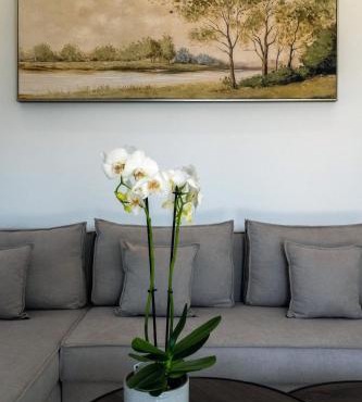 Irisma II Luxury Villa with private pool with 2 bedrooms 2 bathrooms